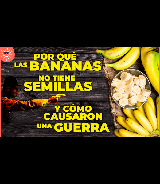 Bananas Guerra